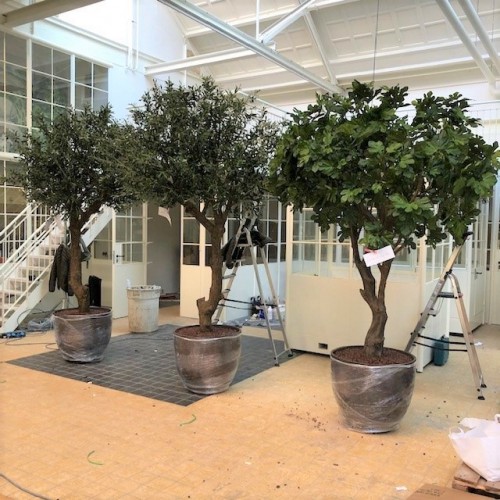 Kunstbomen voor JP 1886 te Zaandam Kunstbomen voor JP 1886 te Zaandam