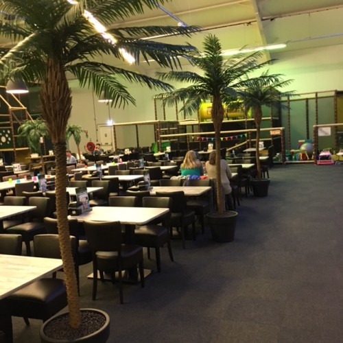 Kunstpalmen voor Speelparadijs de Beesteboel Kunstpalmen voor Speelparadijs de Beesteboel