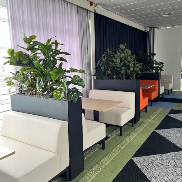 De Groot Decoraties Levert Kunstplanten voor Roomdividers in het Nieuwe Opleidingscentrum van Action De Groot Decoraties Levert Kunstplanten voor Roomdividers in het Nieuwe Opleidingscentrum van Action