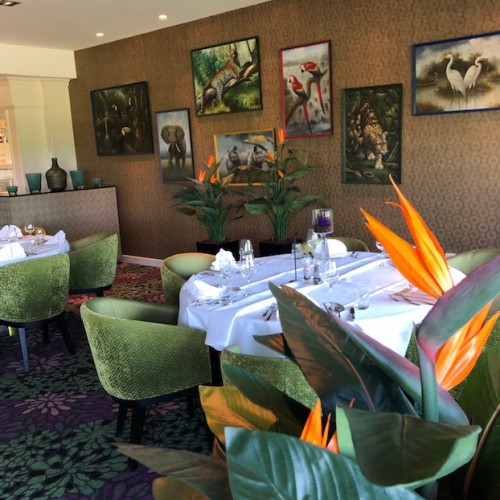 Project: kunstplanten voor Van der Valk Hotel Emmen Project: kunstplanten voor Van der Valk Hotel Emmen