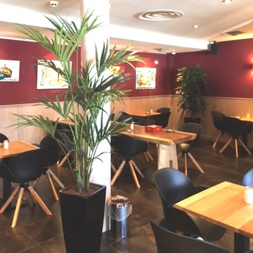 Kunstplanten voor Koffieshop de Poort in Enkhuizen Kunstplanten voor Koffieshop de Poort in Enkhuizen