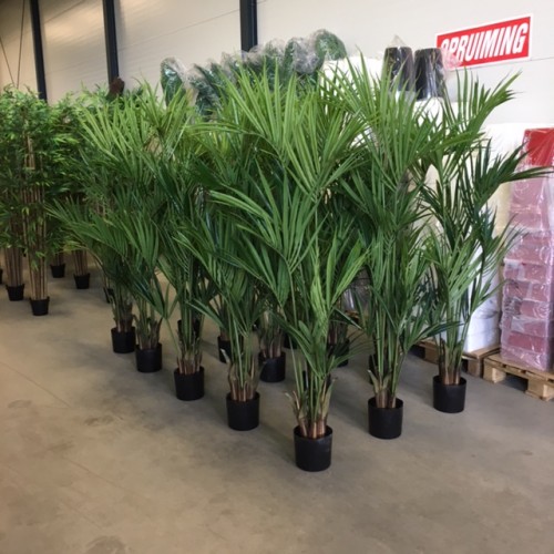 Kunstplanten en kunstpalmen voor Korbeld verhuur te Raalte Kunstplanten en kunstpalmen voor Korbeld verhuur te Raalte