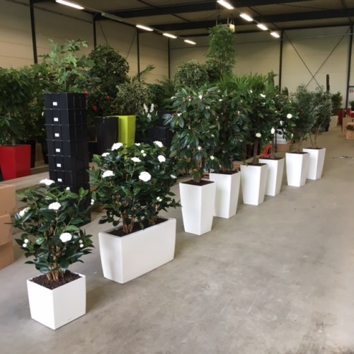 Kunstplanten voor De Hartelborgt in Spijkenisse Kunstplanten voor De Hartelborgt in Spijkenisse