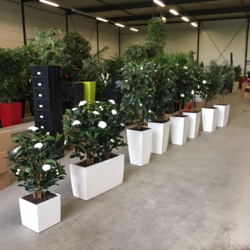 Kunstplanten voor De Hartelborgt in Spijkenisse