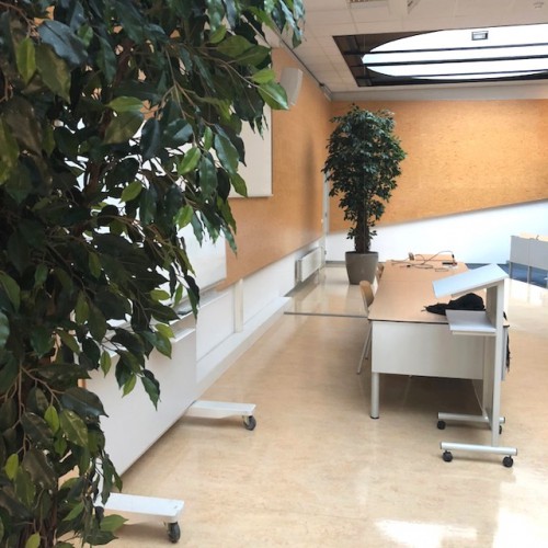 Grote kunstplanten bij ROC Ter AA in Helmond Grote kunstplanten bij ROC Ter AA in Helmond