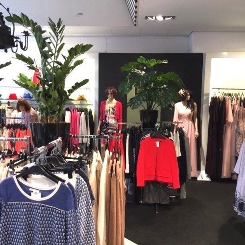Mooie opdracht om kunstplanten te leveren van Rijcken Mode te Brielle. Mooie opdracht om kunstplanten te leveren van Rijcken Mode te Brielle.