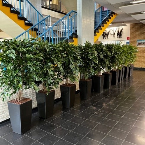 Segbroek College in Den Haag - waar De Groot Decoraties geregeld kunstplanten levert