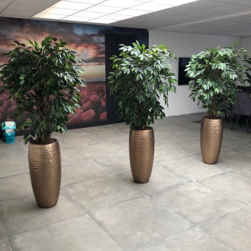 Kunstplanten Voor PH Totaal Kunstplanten Voor PH Totaal