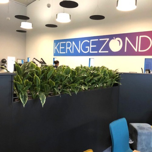 Kunstplanten voor Kerngezond te Lelystad