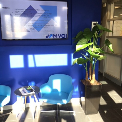 Tien mooie kunstplanten op kantoor MVOI BV te Groot Ammers. Tien mooie kunstplanten op kantoor MVOI BV te Groot Ammers.