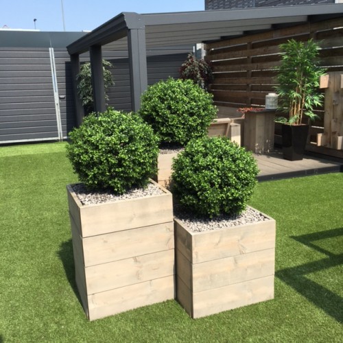Mooie opdracht van Sterkozijn bv uit Oldenzaal om kunstplanten te leveren. Mooie opdracht van Sterkozijn bv uit Oldenzaal om kunstplanten te leveren.