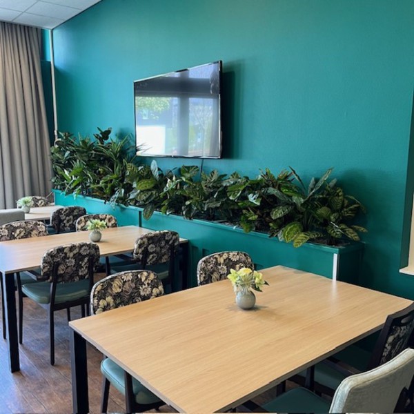 Kunstplanten voor Coloriet de Hoven Kunstplanten voor Coloriet de Hoven