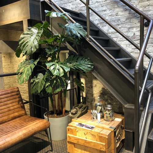 Een Monstera kunstplant kopen? Wij geven 3 tips Een Monstera kunstplant kopen? Wij geven 3 tips
