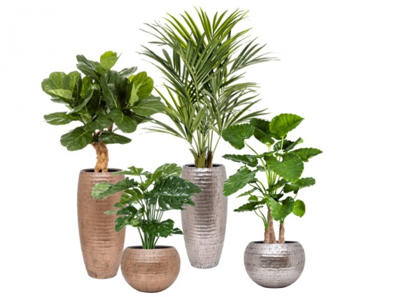 Baq Opus Hammered plantenbakken, mooi voor onze kunstplanten Baq Opus Hammered plantenbakken, mooi voor onze kunstplanten