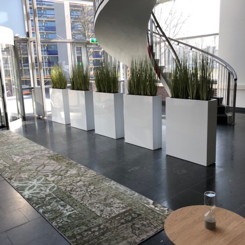 Project: kunstplanten voor Regus Amstelveen Project: kunstplanten voor Regus Amstelveen