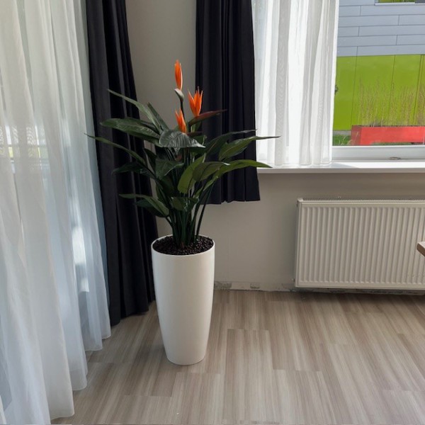 Klanten van De Groot Decoraties voortaan bediend door De Interieurbeplanter uit Elburg