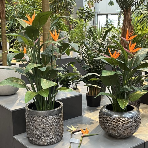 Zvezvia 160 cm kunstplanten, paradijsvogel, grote kunstplant voor Zvezvia 160 cm kunstplanten, paradijsvogel, grote kunstplant voor