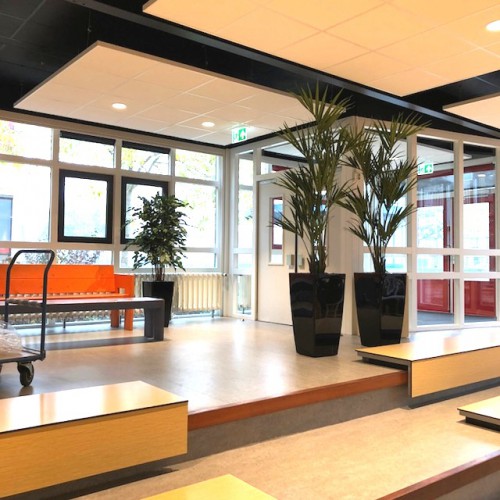 Kunstpalmen en -planten voor Ichthus College te Dronten.