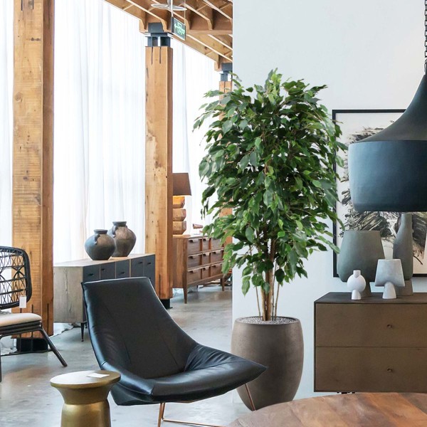 Ficus Exotica Deluxe - De mooiste kunstplanten bij De Interieurbeplanter