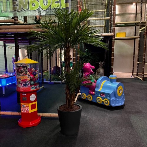 Speelparadijs de Beestenboel in Vlaardingen - met kunstplanten als finishing touch Speelparadijs de Beestenboel in Vlaardingen - met kunstplanten als finishing touch