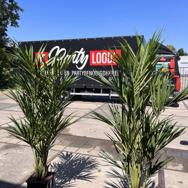 Nieuwe kunstpalmen voor de Partyloods te Den Haag Nieuwe kunstpalmen voor de Partyloods te Den Haag