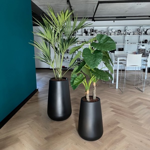 The Lux Company te Harderwijk - kunstplanten voor de specialist in high-end verlichting The Lux Company te Harderwijk - kunstplanten voor de specialist in high-end verlichting