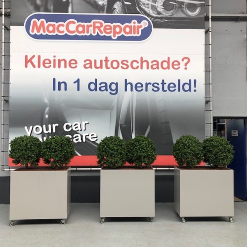 Mooie bestelling kunstplanten Mac Car Wash te Amersfoort