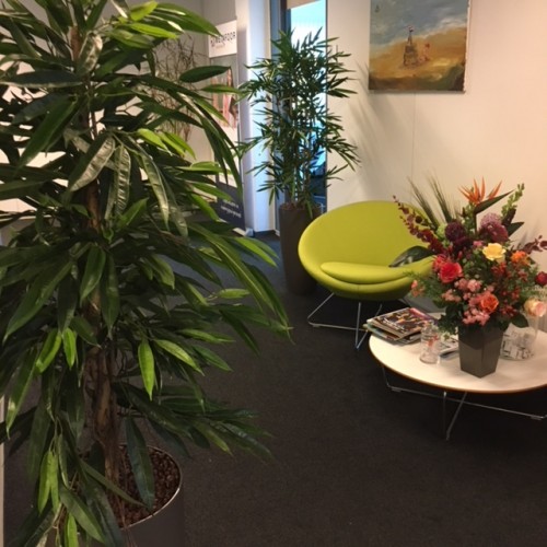 Kunstplanten voor Metafoor Personeelsbank te Almere