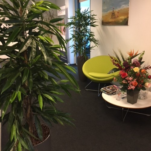 Kunstplanten voor Metafoor Personeelsbank te Almere Kunstplanten voor Metafoor Personeelsbank te Almere