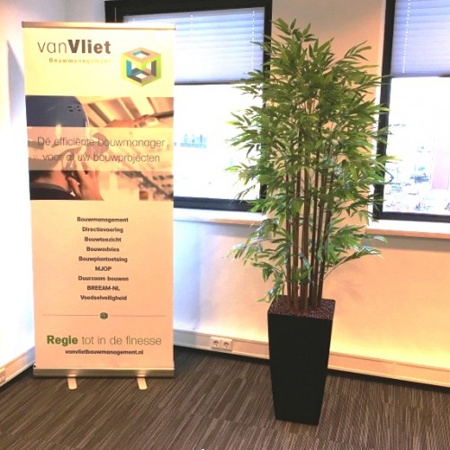 Kunstplanten voor Van Viet Bouwmanagement te Barendrecht