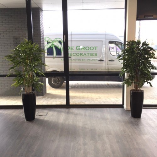 Kunstplanten voor Alpha deuren te Apeldoorn Kunstplanten voor Alpha deuren te Apeldoorn