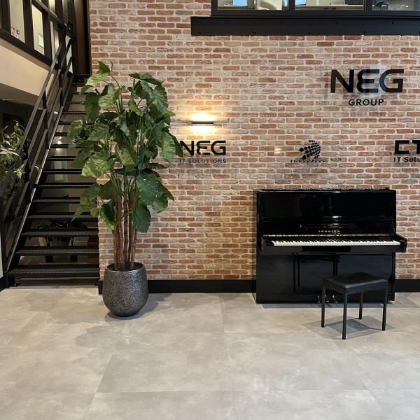 Kunstplanten voor  NEG IT Solutions in Nieuwegein