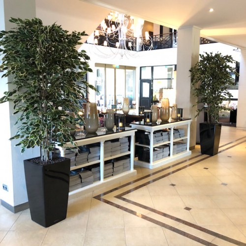 Kunstplanten voor van der Valk Hotel te Emmen. Kunstplanten voor van der Valk Hotel te Emmen.