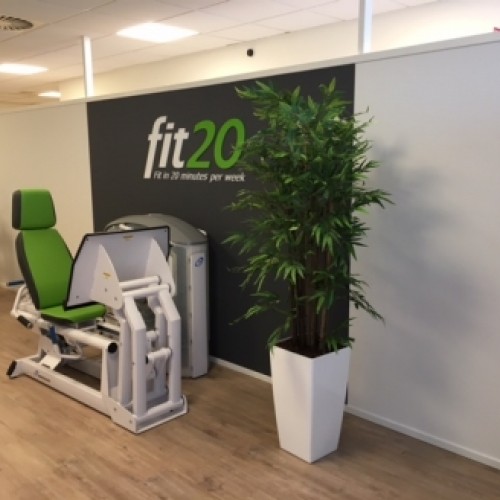 Kunstplanten voor Fit20 te Huizen Kunstplanten voor Fit20 te Huizen