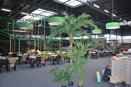kunstpalmen monkeytown warmond | de groot decoraties