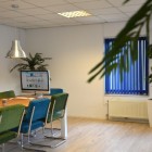 kunstplanten voor nieuw kantoor Promodeals te's-Hertogenbosch