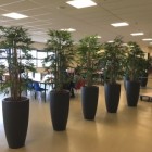 Kunstplanten Action te Zwaagdijk