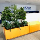 Action-kantoor-3-kunstplanten