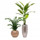 Baq Opus Hammered plantenbakken, mooi voor onze kunstplanten Baq Opus Hammered plantenbakken, mooi voor onze kunstplanten