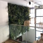 Plantenwand voor restaurant Moi in Amsterdam