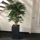 IMG_4879 (2) IMG_4879 (2)