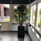 IMG_4881 (2) IMG_4881 (2)