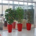 Nieuwe kunstplanten voor JPB Logistics te Veendam Nieuwe kunstplanten voor JPB Logistics te Veendam