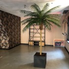 Kunstpalm-Leeuwarden Kunstpalm-Leeuwarden