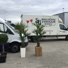 Kunstplanten-Breukers-Verhuur-Enschede-1