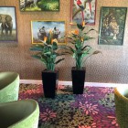 Kunstplanten.Emmen.1 (2) Kunstplanten.Emmen.1 (2)