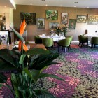 Kunstplanten.Emmen.3 Kunstplanten.Emmen.3