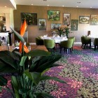 Kunstplanten.Emmen.3 (2) Kunstplanten.Emmen.3 (2)