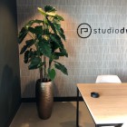 Kunstplanten Studio DWP-1 Kunstplanten Studio DWP-1