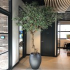 Kunstplanten Studio DWP-3 Kunstplanten Studio DWP-3